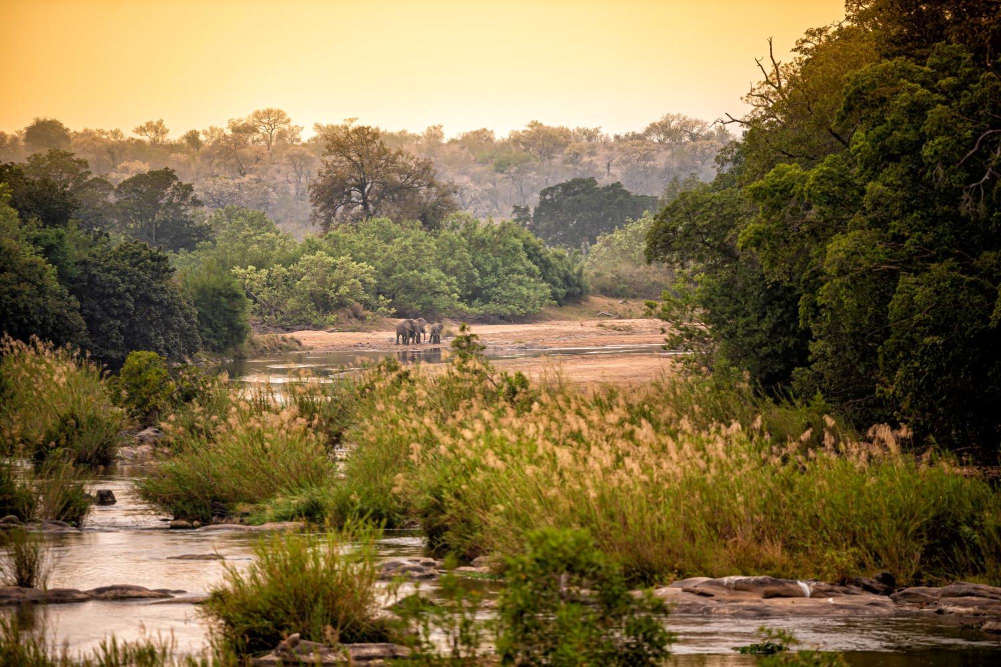 Rhino Post Safari * Skukuza